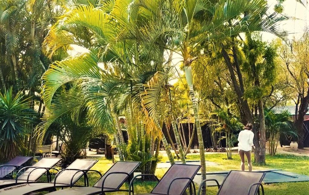 Buffalo Hotel Hectorspruit Екстер'єр фото